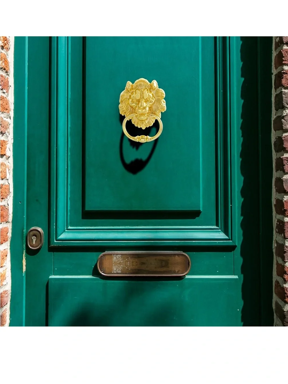Vintage Gold Lion Head Wall Door Knocker